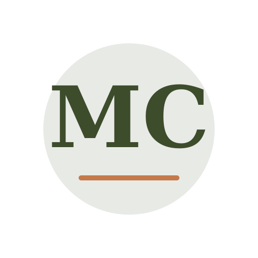 Mayer Chimney Services logo